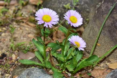 f0348480_16102760.jpg