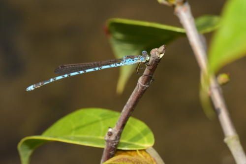 f0348480_16122228.jpg