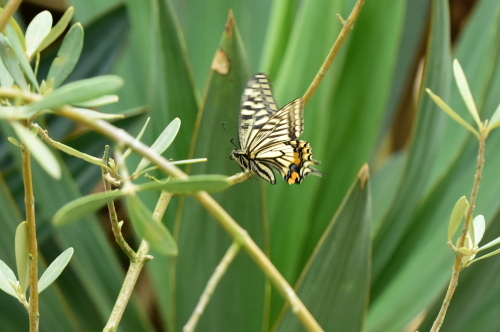 f0348480_16140253.jpg