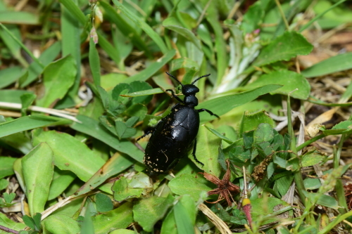 f0348480_16214540.jpg