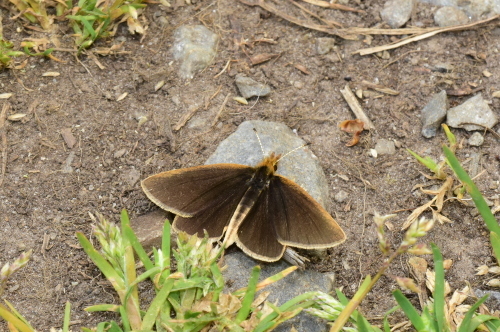 f0348480_16345325.jpg