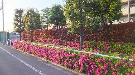 e0020682_19213940.jpg