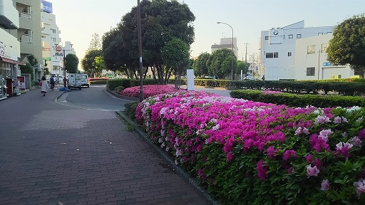 e0020682_1953374.jpg
