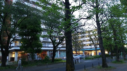 e0020682_20214641.jpg