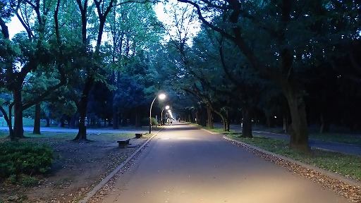 e0020682_2025565.jpg