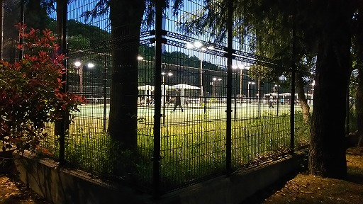 e0020682_2030771.jpg