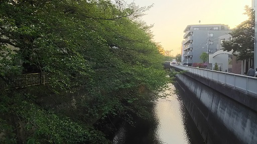 e0020682_2072461.jpg