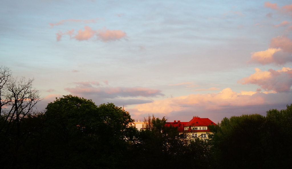 c0180686_04160739.jpg