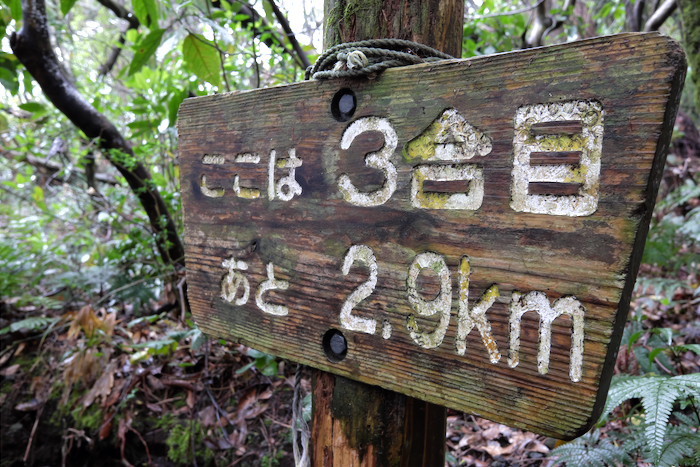 b0339488_20071650.jpg
