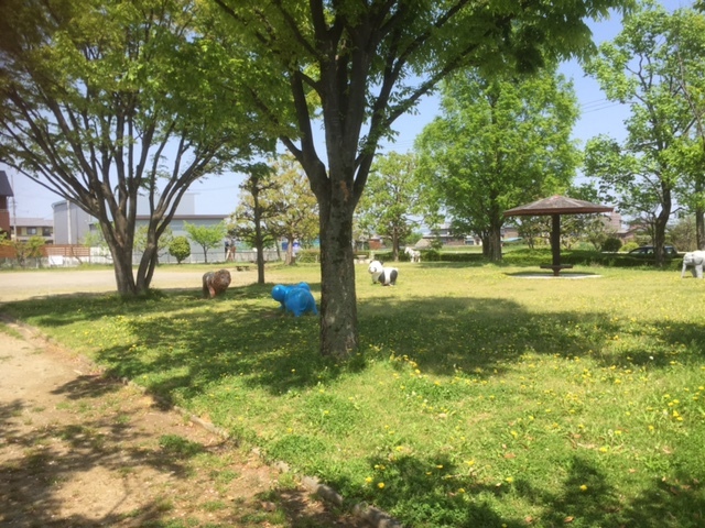 思い出!_e0183792_09050128.jpg