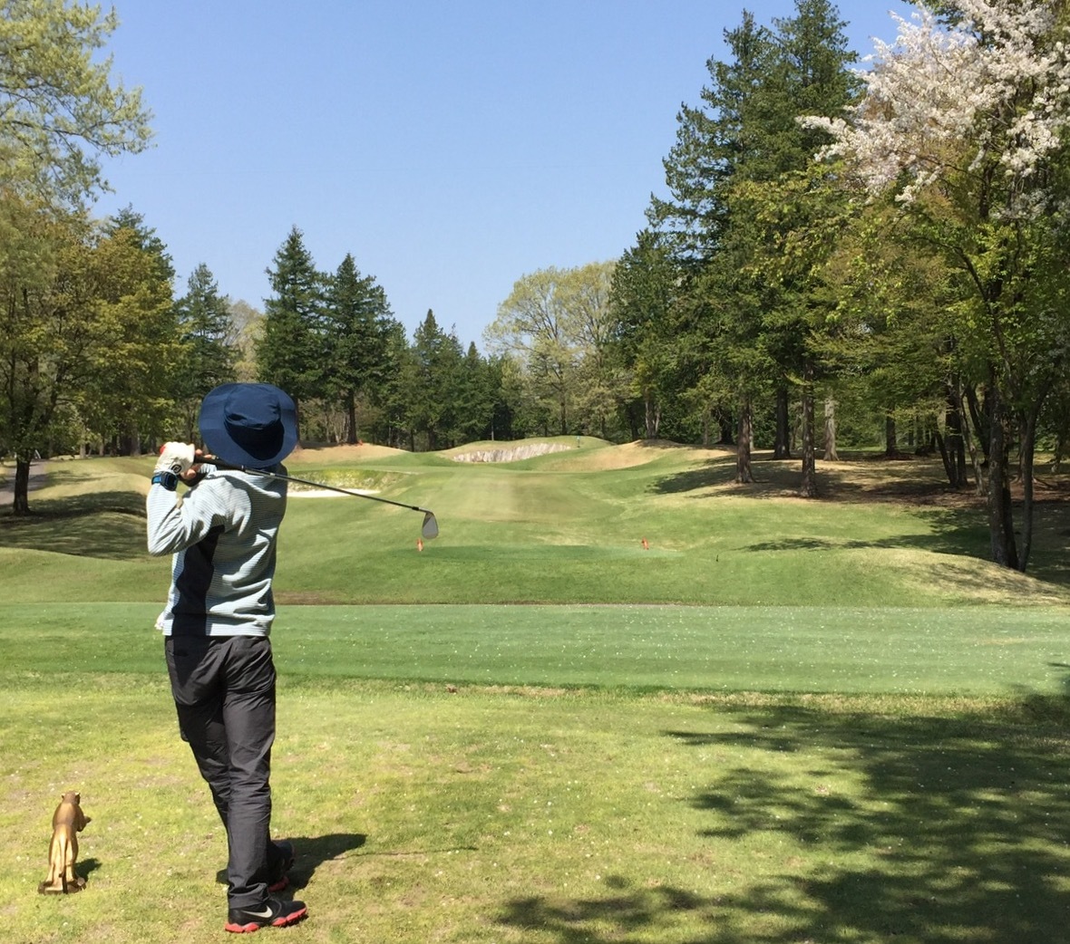 17 04 30ピートダイゴルフクラブvipコース ちょいと川へ 17 04 30ピートダイゴルフクラブvipコース ちょいと川へ