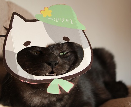 ねこ通信番外編_a0333195_21112593.jpg