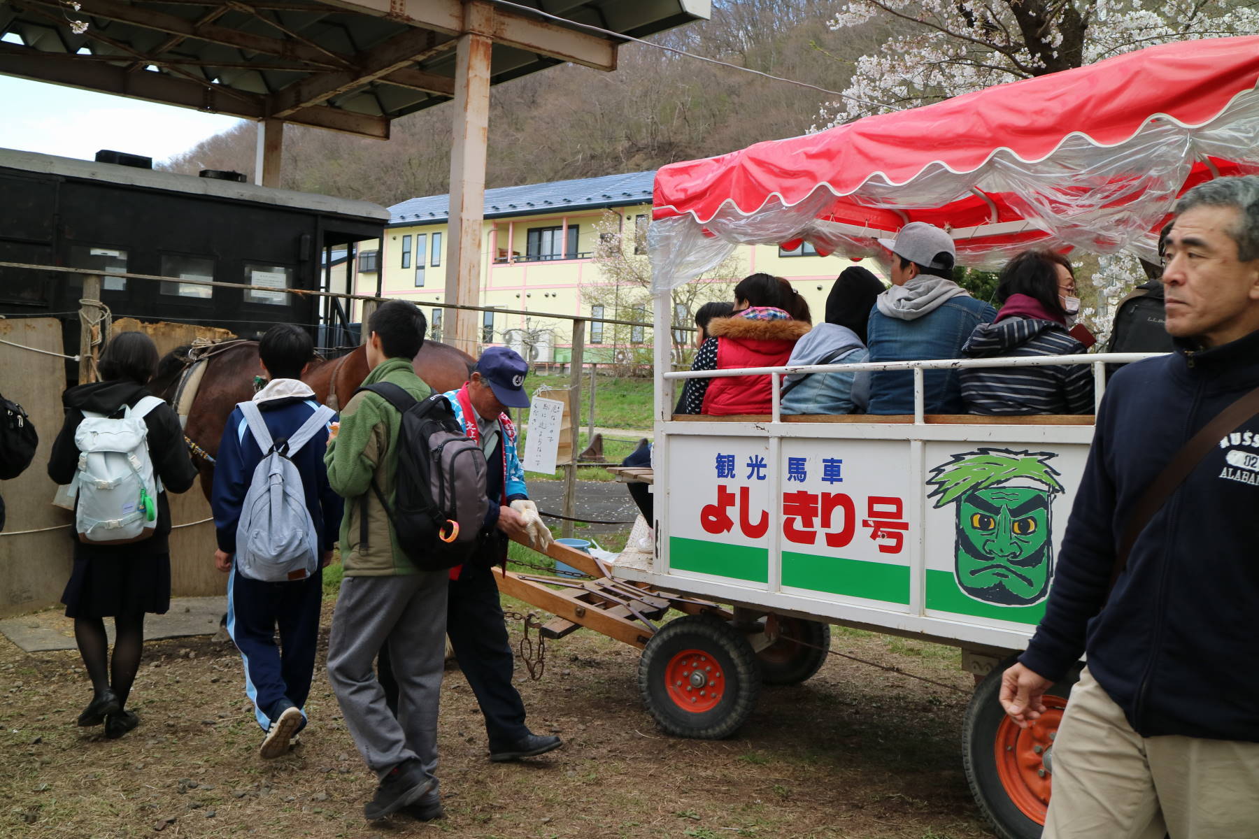 ７分咲き 北上展勝地の桜_f0075595_00250626.jpg