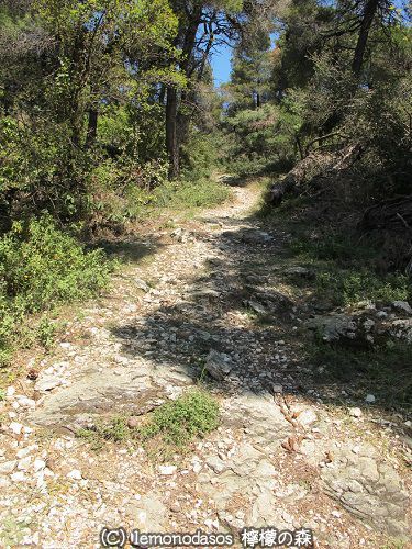 スコぺロス島のセンドゥキア遺跡_c0010496_04164010.jpg