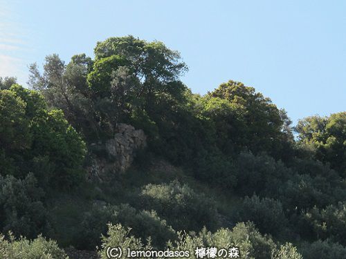 c0010496_07220697.jpg