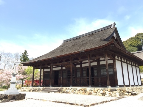 「妙雲寺」「宝林寺」「蜂前神社」_c0313998_21135834.jpg