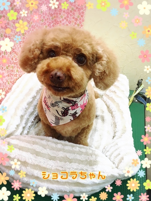 d0269898_14591703.jpeg