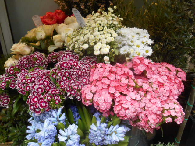 a0342405_05151471.jpg