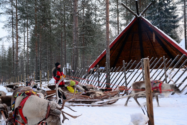 f0373905_11313152.jpg