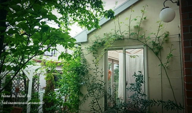 b0345108_01113987.jpg