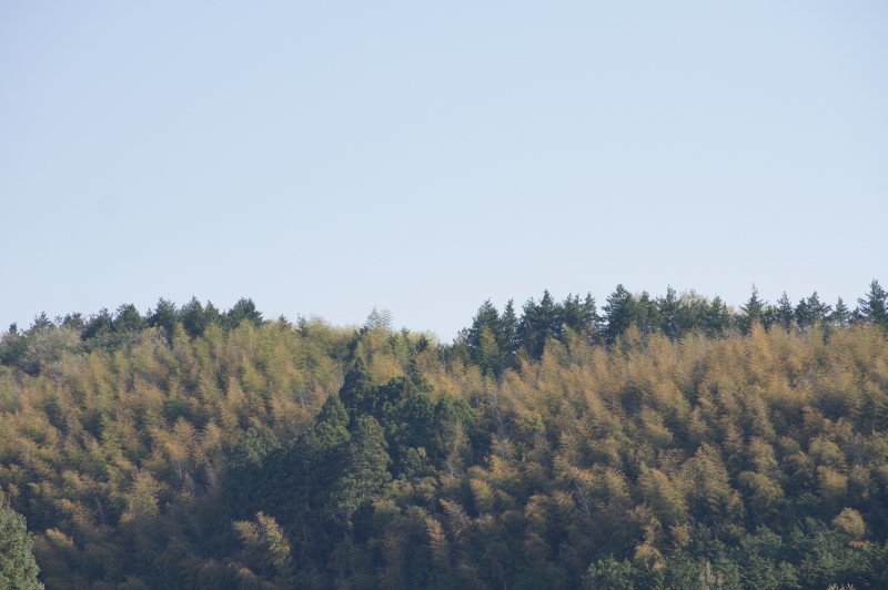 f0327308_15553968.jpg