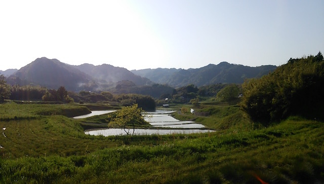 b0113219_01541206.jpg