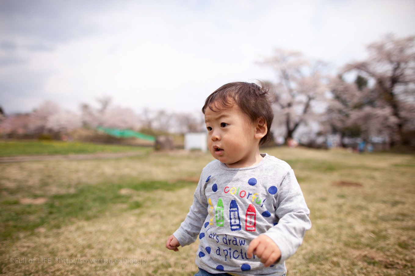 桜まつりのドイツ農村街　赤城クローネンベルク_c0369219_20133434.jpg