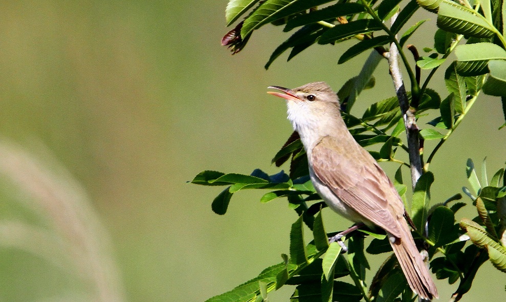 f0364220_14063170.jpg