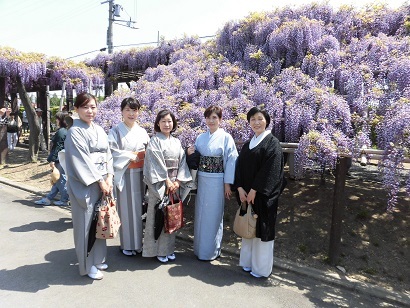 GW2日目、藤の花と京阪園芸へ行って来ました_c0204121_08125355.jpg
