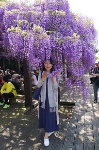 GW2日目、藤の花と京阪園芸へ行って来ました_c0204121_08150264.jpg