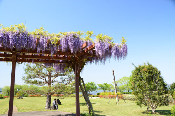 霞ヶ浦総合公園・・・・土浦市_f0147025_16234316.jpg