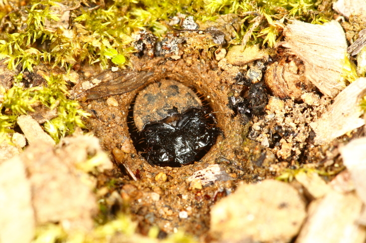 e0337826_16363570.jpg