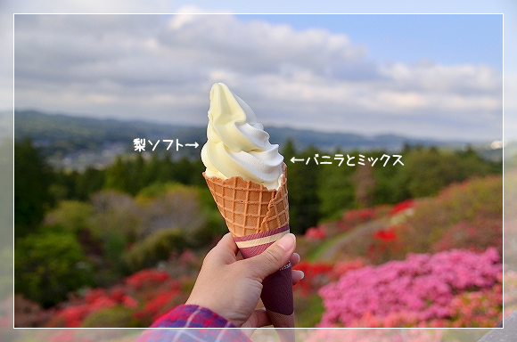 d0179828_08395342.png