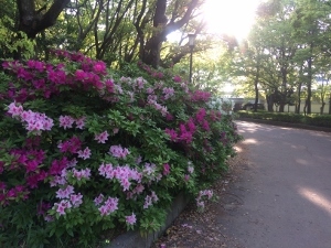 赤福_a0059035_00365641.jpg