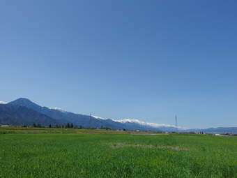 a0014840_22232330.jpg