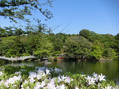 b0120541_07036.jpg