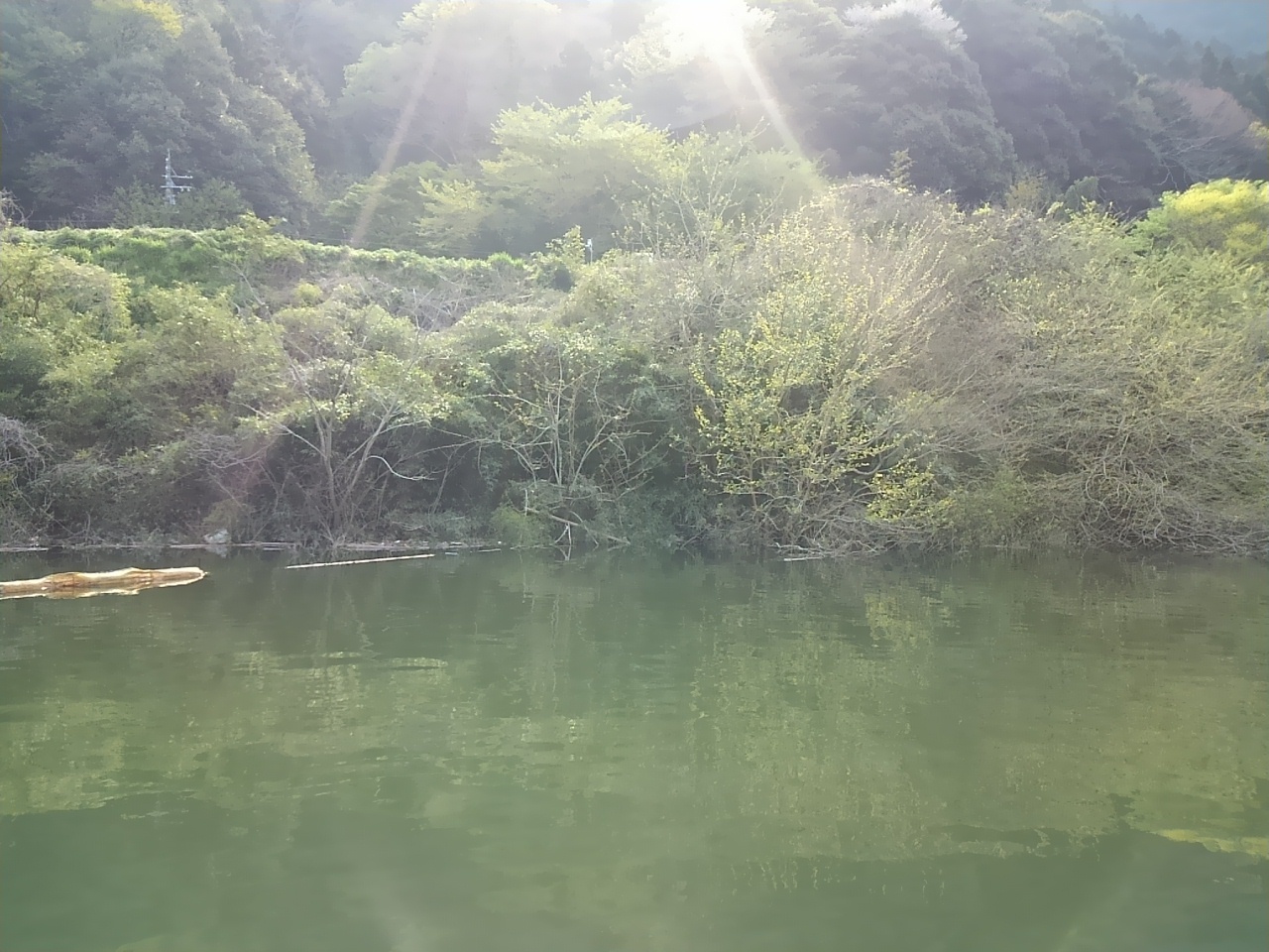 矢作ダムへ！ トムヤンクンのバッシング事情