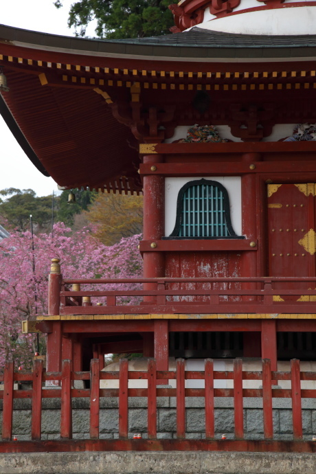 勝尾寺 桜 2017_a0176855_00503762.jpg