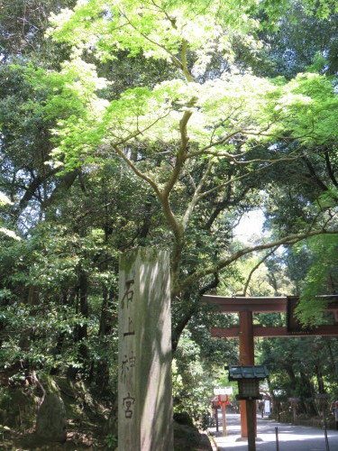 f0259373_20351507.jpg