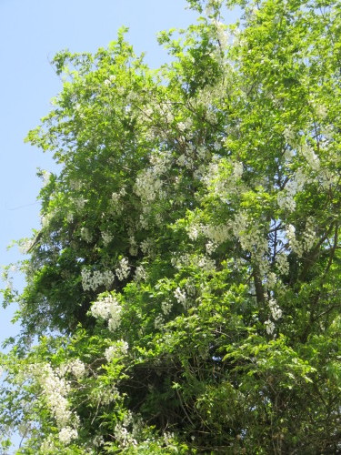 f0259373_20382212.jpg