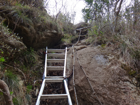 だき山～鬼の目山～鉾岳周回（延岡市北方町）_d0182075_01105374.jpg