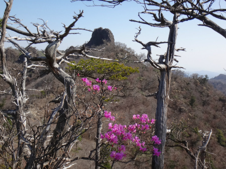 大崩山～鹿納山周回+比叡山（延岡市北方町）_d0182075_04352059.jpg