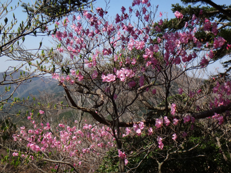 大崩山～鹿納山周回+比叡山（延岡市北方町）_d0182075_04370923.jpg