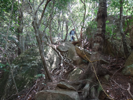 大崩山～鹿納山周回+比叡山（延岡市北方町）_d0182075_04424508.jpg