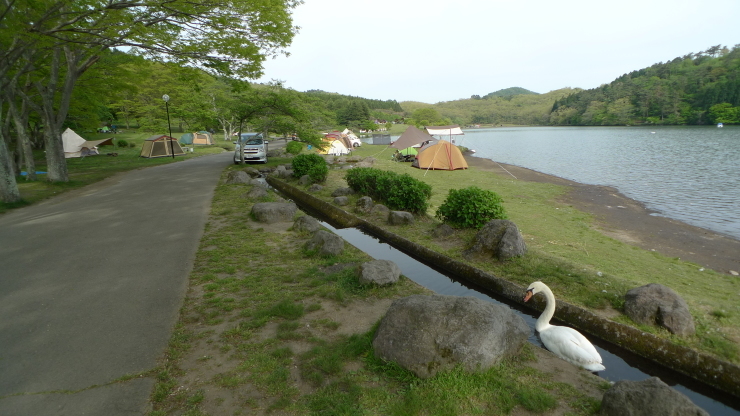 志高湖キャンプ場　車中泊43日目_c0212083_18350798.jpg