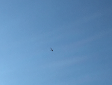 e0064189_21352961.png