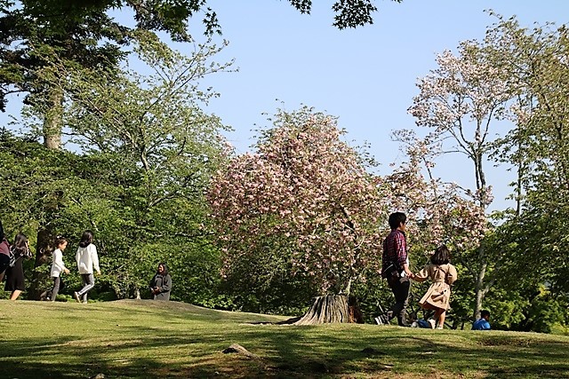 藤田八束の奈良旅行@奈良の大仏様廬舎那仏、東大寺南大門の仁王様_d0181492_00134376.jpg