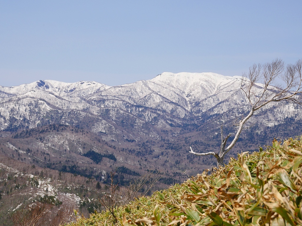 イチャンコッペ山、2017.5.2_f0138096_19065121.jpg