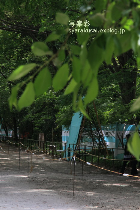 下鴨神社に行く_b0191505_16401431.jpg