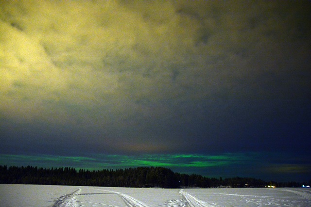 f0373905_1551936.jpg